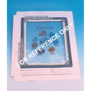 Animal Cell And Tissues
